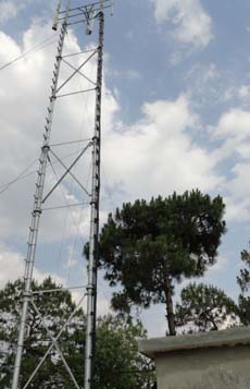 365速发国际(中国)官方网站