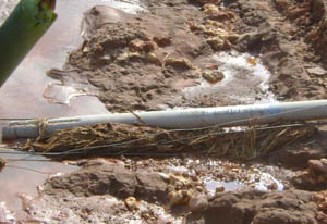 365速发国际(中国)官方网站