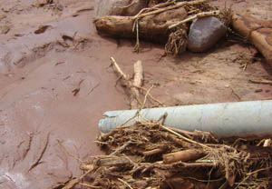 365速发国际(中国)官方网站