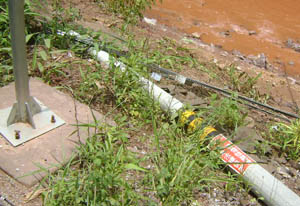 365速发国际(中国)官方网站