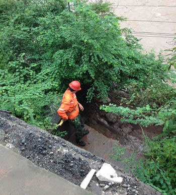 365速发国际(中国)官方网站