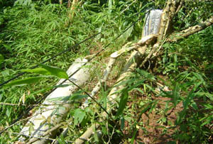 365速发国际(中国)官方网站