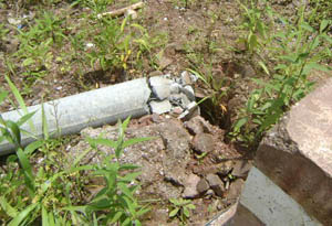 365速发国际(中国)官方网站