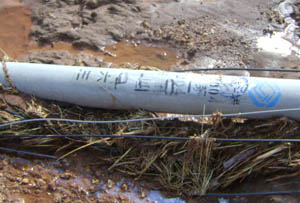 365速发国际(中国)官方网站