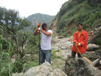 365速发国际(中国)官方网站