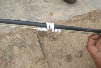 365速发国际(中国)官方网站