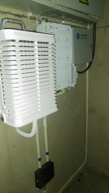 365速发国际(中国)官方网站