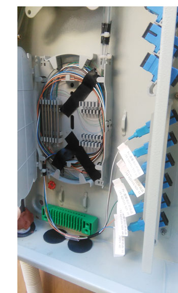 365速发国际(中国)官方网站