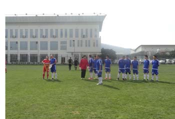 365速发国际(中国)官方网站