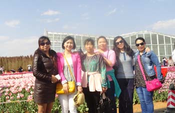 365速发国际(中国)官方网站