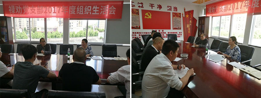 365速发国际(中国)官方网站