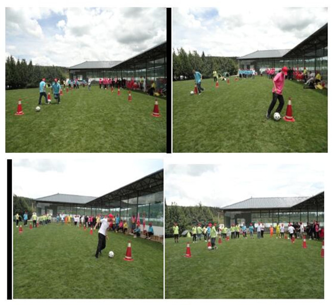 365速发国际(中国)官方网站