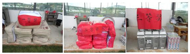 365速发国际(中国)官方网站