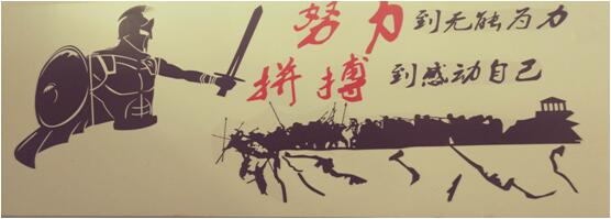 365速发国际(中国)官方网站