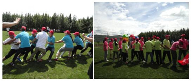 365速发国际(中国)官方网站