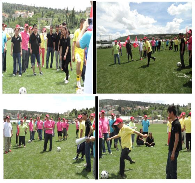 365速发国际(中国)官方网站