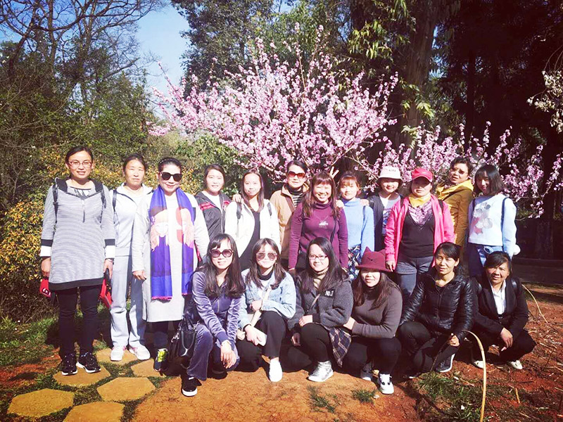 365速发国际(中国)官方网站