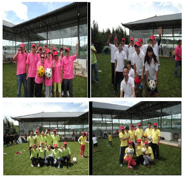 365速发国际(中国)官方网站