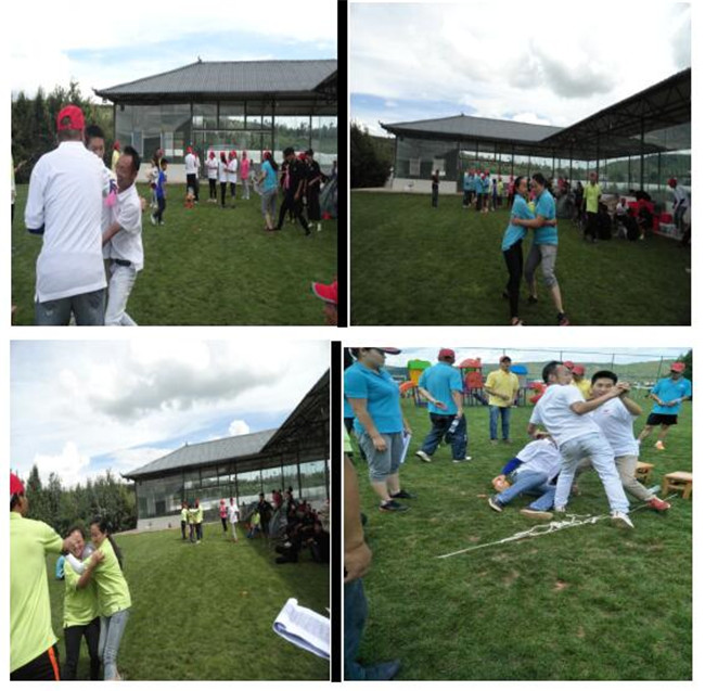 365速发国际(中国)官方网站