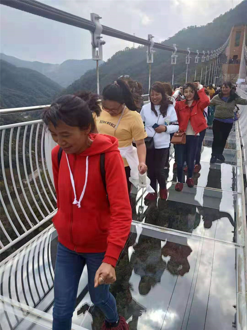 365速发国际(中国)官方网站