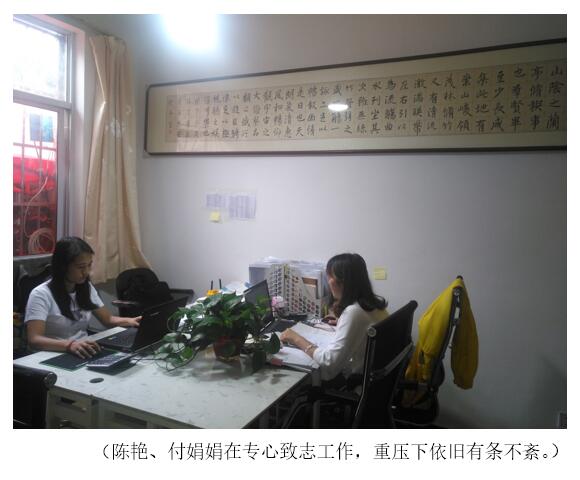 365速发国际(中国)官方网站