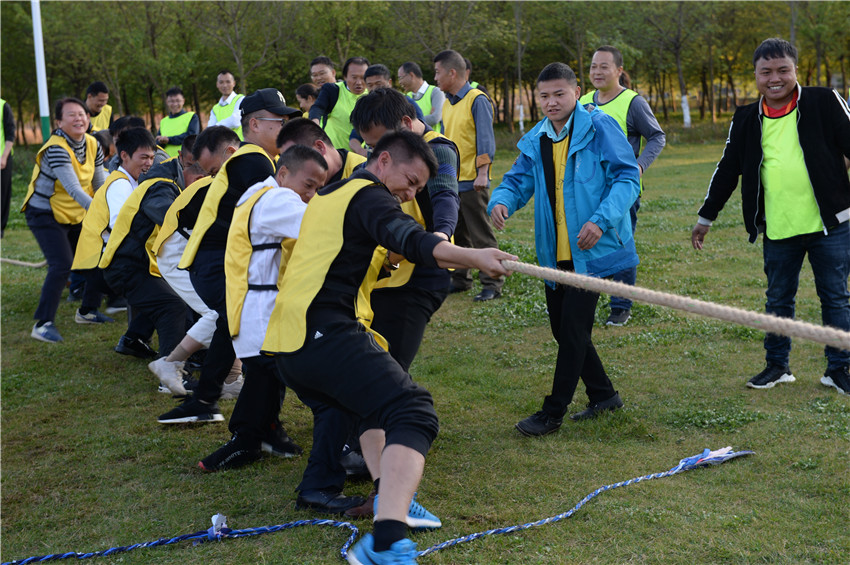 365速发国际(中国)官方网站
