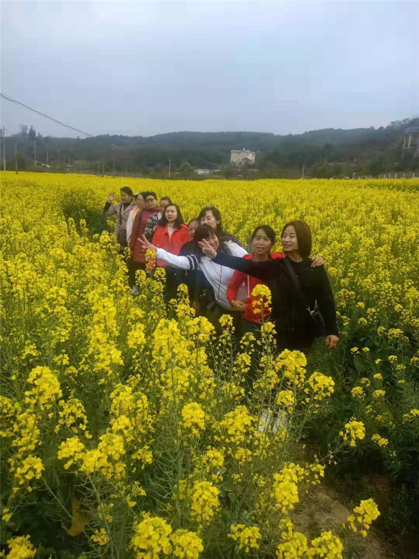 365速发国际(中国)官方网站