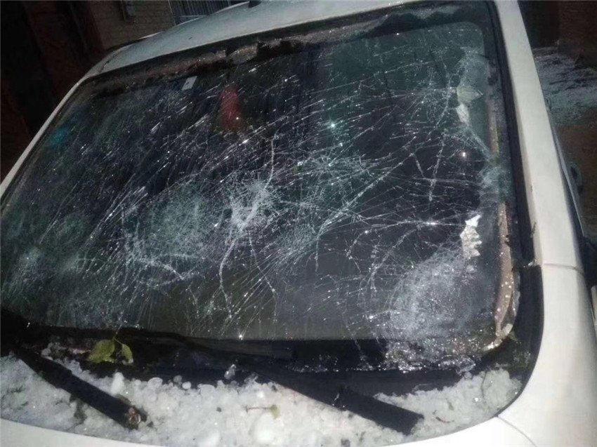 365速发国际(中国)官方网站