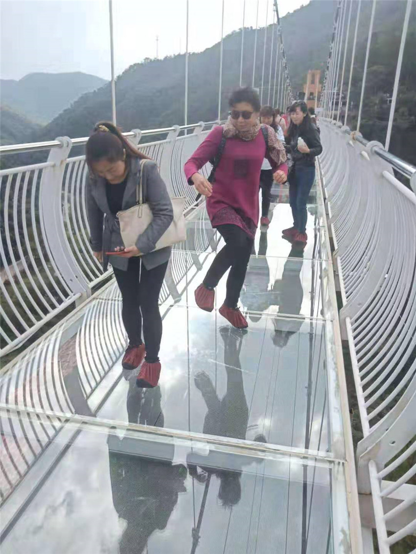 365速发国际(中国)官方网站