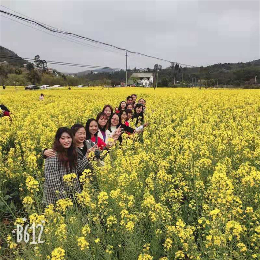 365速发国际(中国)官方网站