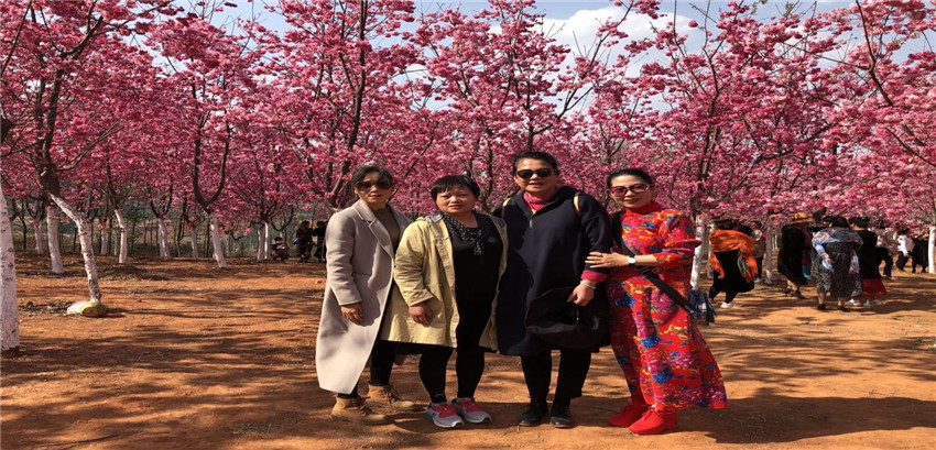 365速发国际(中国)官方网站