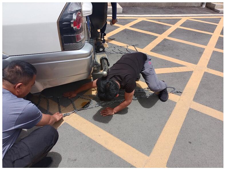 365速发国际(中国)官方网站